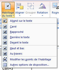 liste déroulante avec item associé à une icône (Office 2007-10)