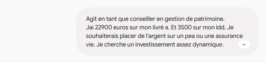 Requête envoyée à Gemini : un utilisateur détaille son épargne et demande des conseils pour placer son argent sur un PEA ou une assurance vie